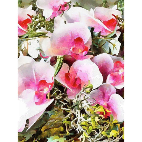 Spring Floral Variations XXVII Black Modern Wood Framed Art Print with Double Matting by Medeiros, Celito