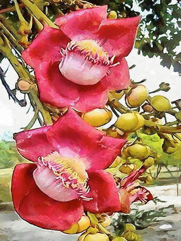 Spring Floral Variations XXVIII White Modern Wood Framed Art Print with Double Matting by Medeiros, Celito