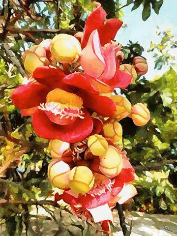 Spring Floral Variations XXIX White Modern Wood Framed Art Print with Double Matting by Medeiros, Celito