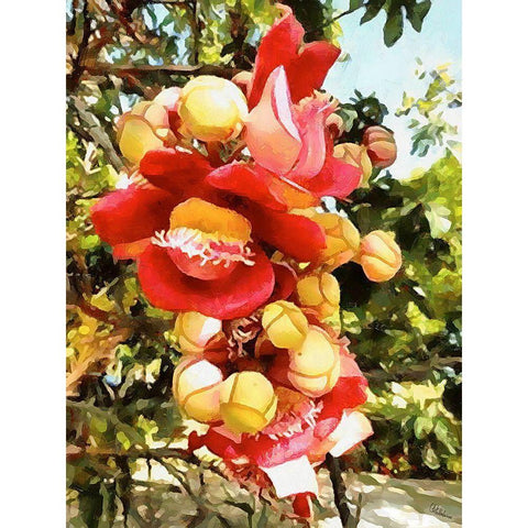 Spring Floral Variations XXIX Black Modern Wood Framed Art Print by Medeiros, Celito