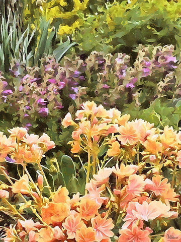 Spring Floral Variations XXX Black Ornate Wood Framed Art Print with Double Matting by Medeiros, Celito