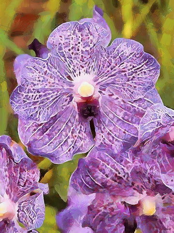 Spring Floral Variations XXXIII Black Ornate Wood Framed Art Print with Double Matting by Medeiros, Celito