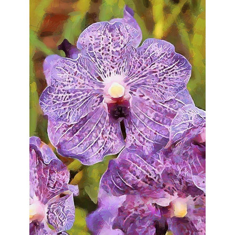 Spring Floral Variations XXXIII White Modern Wood Framed Art Print by Medeiros, Celito