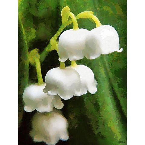 Spring Floral Variations XXXIV White Modern Wood Framed Art Print by Medeiros, Celito