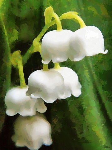 Spring Floral Variations XXXIV White Modern Wood Framed Art Print with Double Matting by Medeiros, Celito