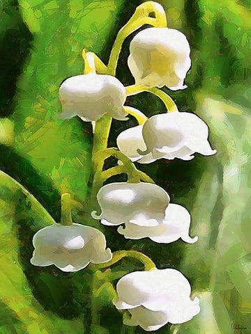 Spring Floral Variations XXXV Black Ornate Wood Framed Art Print with Double Matting by Medeiros, Celito