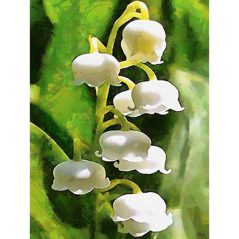 Spring Floral Variations XXXV Black Modern Wood Framed Art Print by Medeiros, Celito