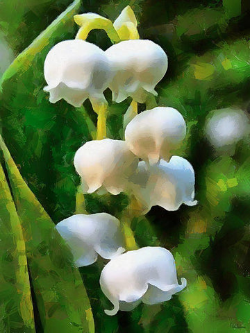 Spring Floral Variations XXXVI White Modern Wood Framed Art Print with Double Matting by Medeiros, Celito