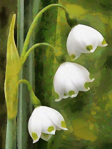 Spring Floral Variations XXXVII Black Ornate Wood Framed Art Print with Double Matting by Medeiros, Celito