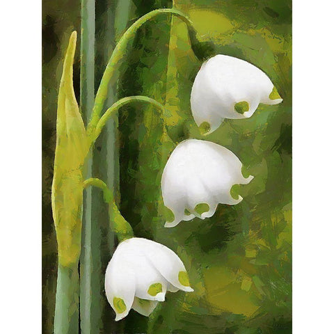 Spring Floral Variations XXXVII Black Modern Wood Framed Art Print with Double Matting by Medeiros, Celito