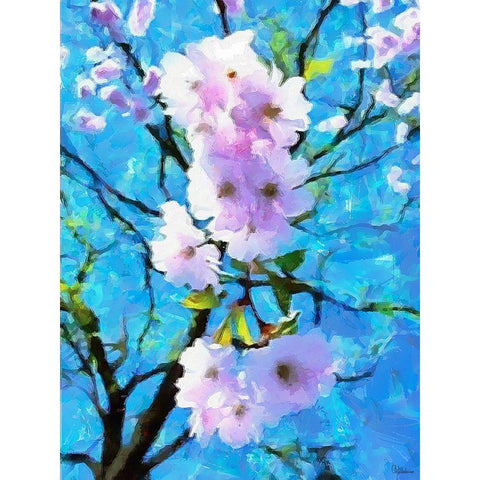 Spring Floral Variations XXXVIII White Modern Wood Framed Art Print by Medeiros, Celito