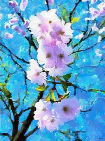 Spring Floral Variations XXXVIII Black Ornate Wood Framed Art Print with Double Matting by Medeiros, Celito