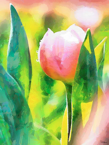 Spring Floral Variations XL White Modern Wood Framed Art Print with Double Matting by Medeiros, Celito