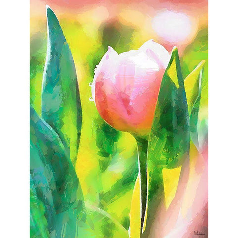 Spring Floral Variations XL Black Modern Wood Framed Art Print by Medeiros, Celito