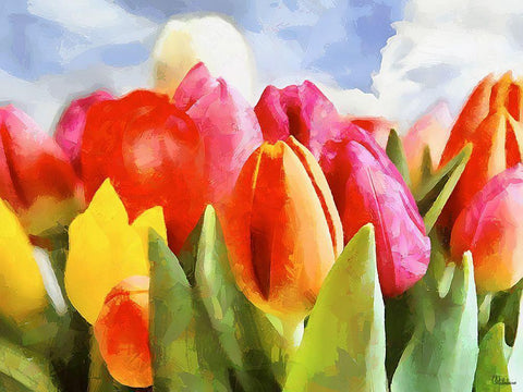 Spring Floral Variations XLI Black Ornate Wood Framed Art Print with Double Matting by Medeiros, Celito