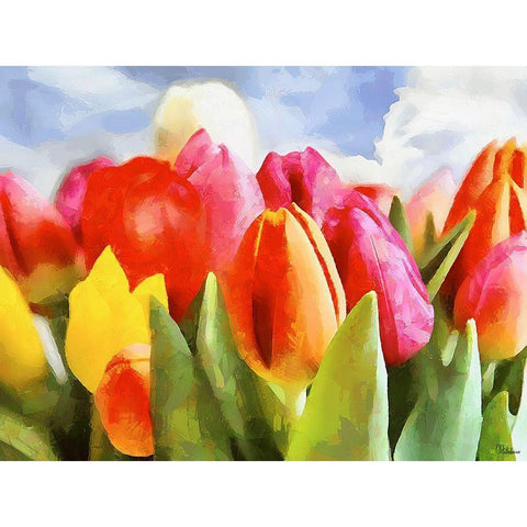 Spring Floral Variations XLI Black Modern Wood Framed Art Print by Medeiros, Celito