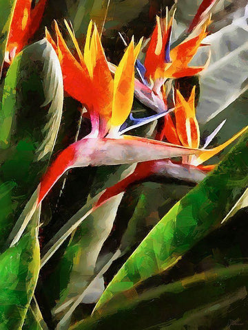 Spring Floral Variations XLIII White Modern Wood Framed Art Print with Double Matting by Medeiros, Celito