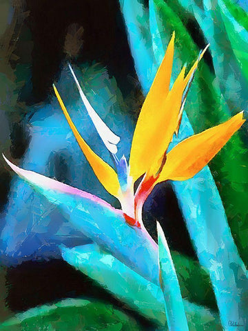 Spring Floral Variations XLIV White Modern Wood Framed Art Print with Double Matting by Medeiros, Celito