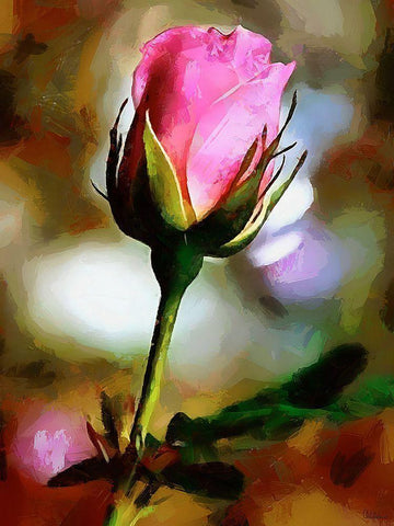 Spring Floral Variations XLV White Modern Wood Framed Art Print with Double Matting by Medeiros, Celito