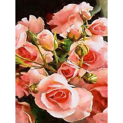 Spring Floral Variations XLVI Black Modern Wood Framed Art Print by Medeiros, Celito