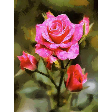 Spring Floral Variations XLVII Black Modern Wood Framed Art Print by Medeiros, Celito