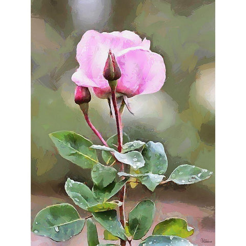 Spring Floral Variations XLVIII Gold Ornate Wood Framed Art Print with Double Matting by Medeiros, Celito