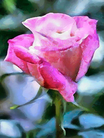 Spring Floral Variations IL White Modern Wood Framed Art Print with Double Matting by Medeiros, Celito