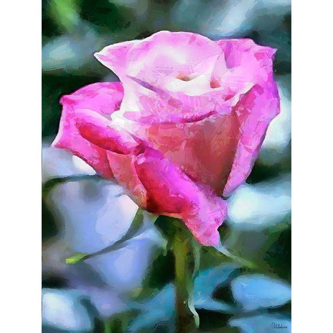 Spring Floral Variations IL Gold Ornate Wood Framed Art Print with Double Matting by Medeiros, Celito