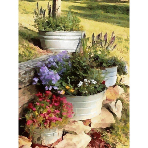 Ornamental Garden White Modern Wood Framed Art Print by Medeiros, Celito