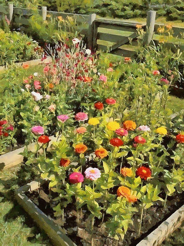 Beautiful Garden Black Ornate Wood Framed Art Print with Double Matting by Medeiros, Celito