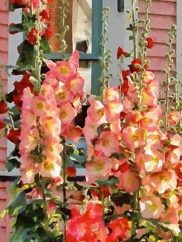 Tall pink Flowers White Modern Wood Framed Art Print with Double Matting by Medeiros, Celito