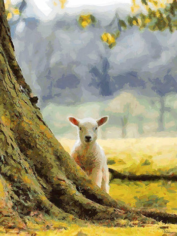 Sheep behind the Tree Black Ornate Wood Framed Art Print with Double Matting by Medeiros, Celito