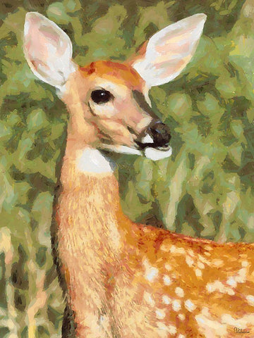 Deer in the Meadow White Modern Wood Framed Art Print with Double Matting by Medeiros, Celito