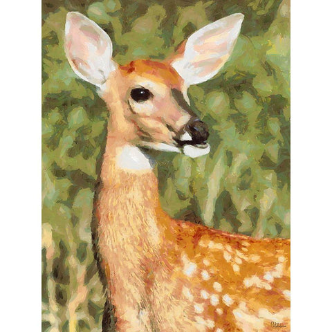 Deer in the Meadow Black Modern Wood Framed Art Print with Double Matting by Medeiros, Celito