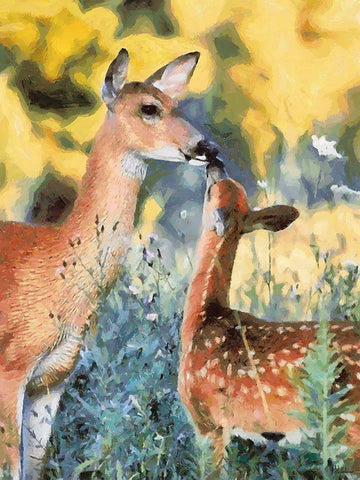 Deer kissing her Baby Black Ornate Wood Framed Art Print with Double Matting by Medeiros, Celito