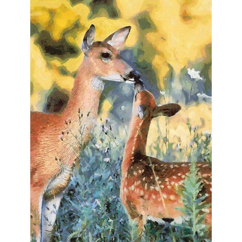 Deer kissing her Baby White Modern Wood Framed Art Print by Medeiros, Celito