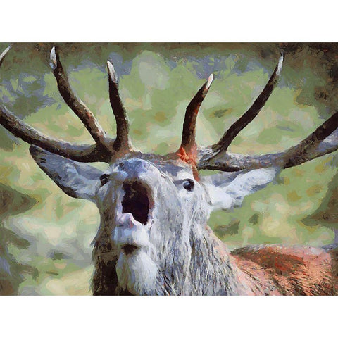 Deer is Calling Black Modern Wood Framed Art Print with Double Matting by Medeiros, Celito