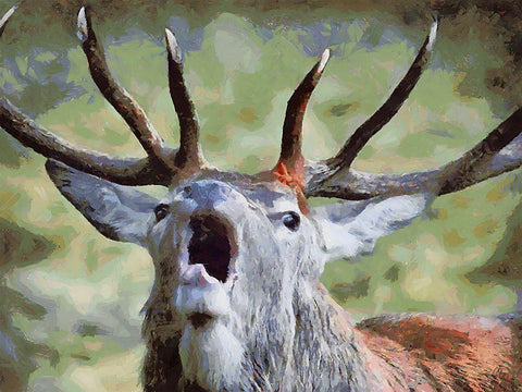 Deer is Calling Black Ornate Wood Framed Art Print with Double Matting by Medeiros, Celito