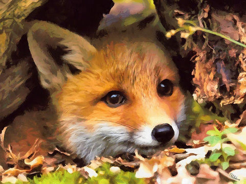 Beautiful Fox White Modern Wood Framed Art Print with Double Matting by Medeiros, Celito