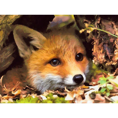 Beautiful Fox Black Modern Wood Framed Art Print by Medeiros, Celito