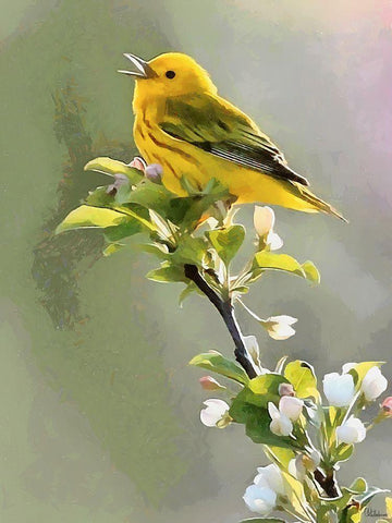 Spring Song Black Ornate Wood Framed Art Print with Double Matting by Medeiros, Celito