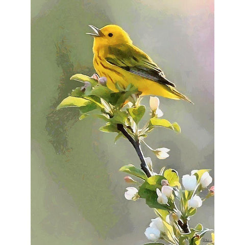 Spring Song Gold Ornate Wood Framed Art Print with Double Matting by Medeiros, Celito