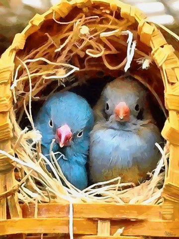 Small Home White Modern Wood Framed Art Print with Double Matting by Medeiros, Celito