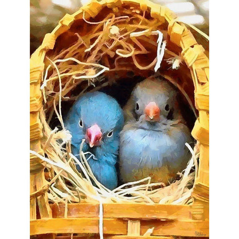 Small Home Black Modern Wood Framed Art Print with Double Matting by Medeiros, Celito