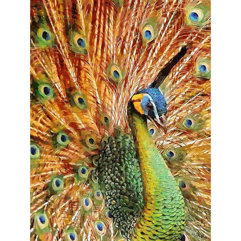 Beautiful Peacock White Modern Wood Framed Art Print by Medeiros, Celito