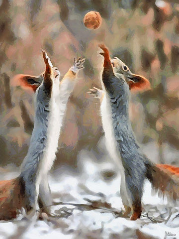 Playing Squirrells Black Ornate Wood Framed Art Print with Double Matting by Medeiros, Celito