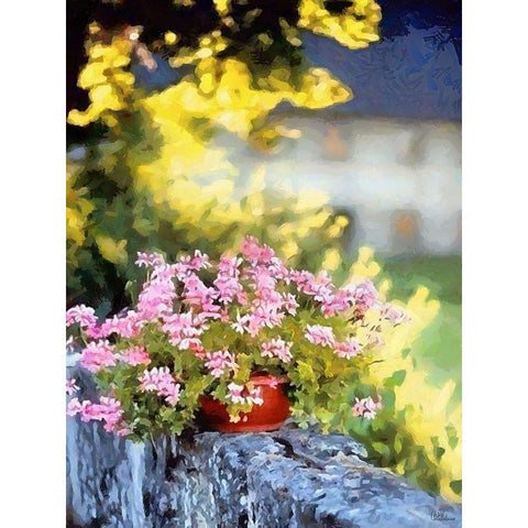 Pink Flowers in the Pot White Modern Wood Framed Art Print by Medeiros, Celito