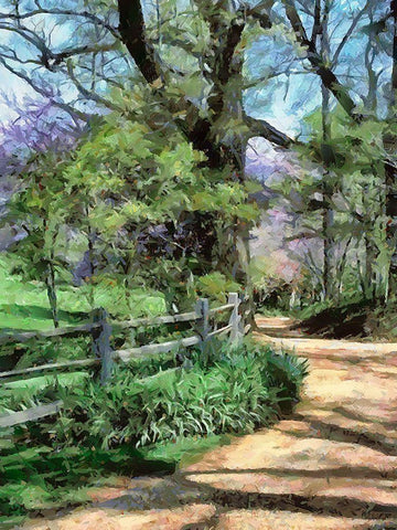 The Road is Open II Black Ornate Wood Framed Art Print with Double Matting by Medeiros, Celito