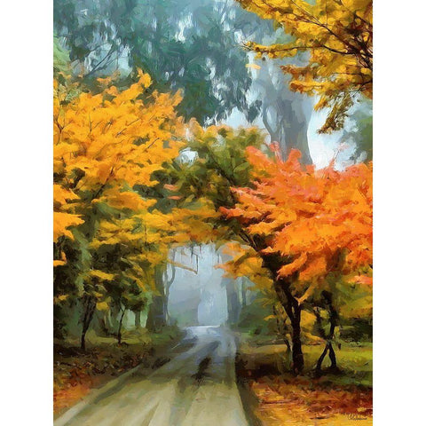 Nice Colors of Autumn Black Modern Wood Framed Art Print by Medeiros, Celito