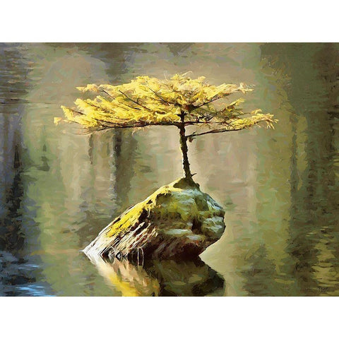 Smal Tree on a Rock in the Lake Gold Ornate Wood Framed Art Print with Double Matting by Medeiros, Celito